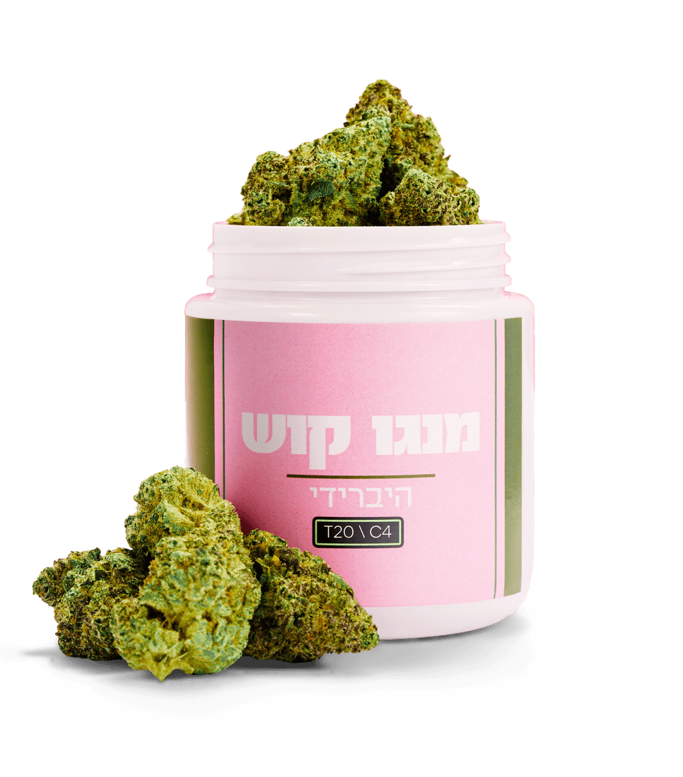 מנגו קוש